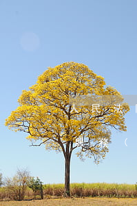 人民法院大數(shù)據(jù)管理和服務(wù)平臺、杭州互聯(lián)網(wǎng)法院雙雙獲評“數(shù)字中國最佳實踐”